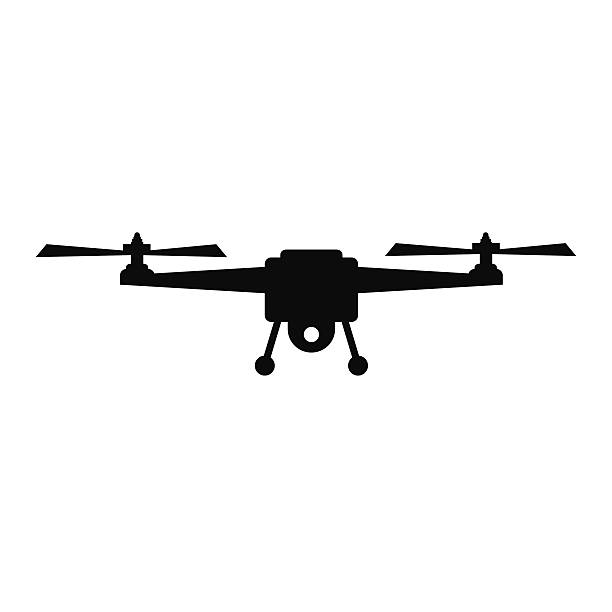 Mini drone flight controller